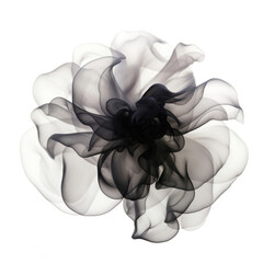 Wall Mural - PNG Abstract smoke of lotus flower black white.