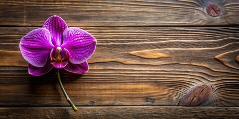 Sticker - Purple orchid flower placed against a rustic brown wood background, orchid, flower, purple, brown, wood, background, rustic