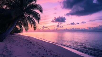 Evening beach with palm trees silhouetted against a colorful sunset sky, reflecting a relaxing and picturesque summer evening. Captured with a Nikon Z6 II for vivid details.

