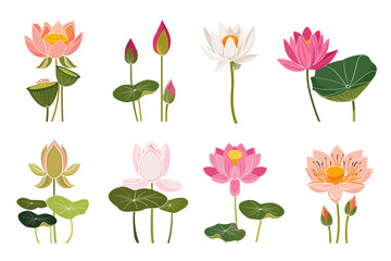 Poster - PNG lotus element set, transparent background