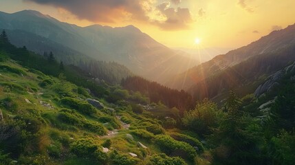 Wall Mural - Golden Sunset Over Mountain Peaks