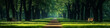 © YOAQ - Serene forest pathway with benches ideal for relaxation and outdoor events in a tranquil park setting. Design for Wall Art, Poster Print, Wallpaper & Background