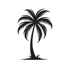 palm tree silhouette