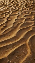 Canvas Print - sand and waves