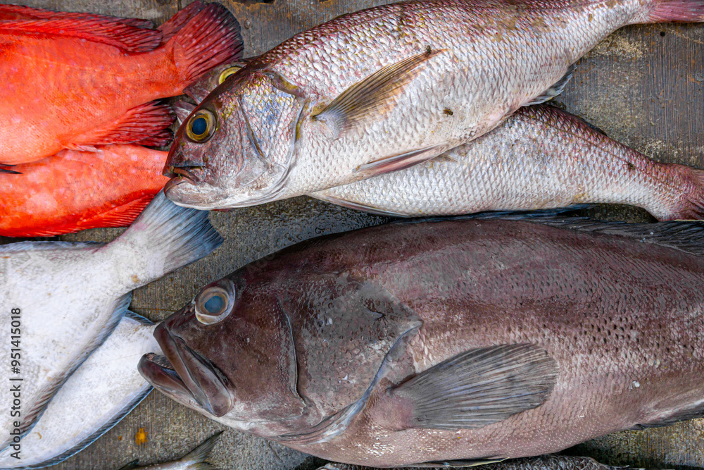 Fresh varieties of sea food meat like fishes, crabs, shrimp, prawns ...