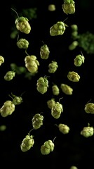 Wall Mural - A bunch of green hops floating in the air