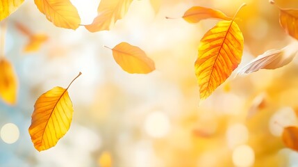 Wall Mural - Autumn Leaves Falling in Sunlight - Bokeh Background