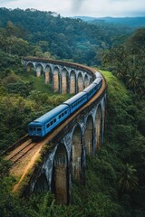 Poster - Blue train on jungle bridge