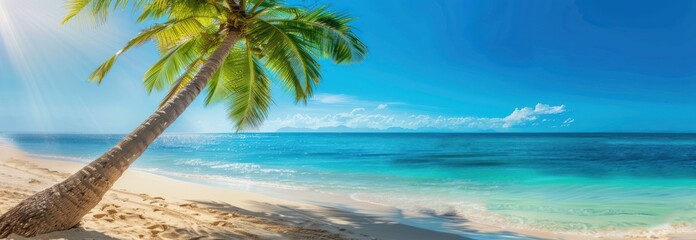 Wall Mural - Tropical Paradise: Palm Tree on a Pristine Beach