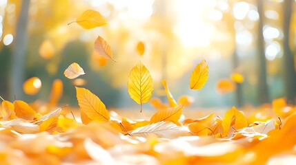 Canvas Print - Golden Autumn Leaves Falling in Forest