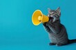 © MUdaylah - Funny grey cat screams with a yellow loudspeaker on a blue background, creative idea. Fun pet kitten speaks into a megaphone. with generaive ai