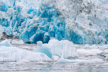 Wall Mural - Details of sawyer glacier at the head of Tracy Arm fjord in Alaska near Juneau during summer 