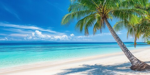 Beautiful tropical sea beach with palm tree and blue sky background. 