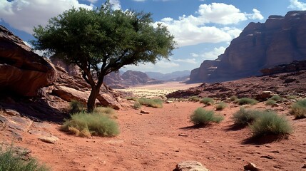 Mystical Desert Adventures: Exploring Wadi Rum's Stunning Landscapes and Vibrant Oases in Jordan