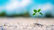 © CYBERUSS - Innovation is the practical implementation of ideas that result in the introduction of new goods or services or improvement in offering goods or services.