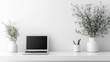 © kanesuan - A minimalist home office with a simple desk, a laptop, and a single decorative plant. The walls are white, creating a clean and bright space.