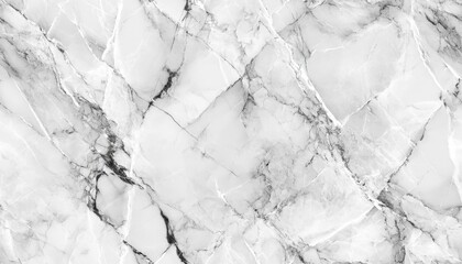 Wall Mural - Elegant white marble texture with intricate gray vein patterns, perfect for backgrounds, design projects, and luxurious surfaces.