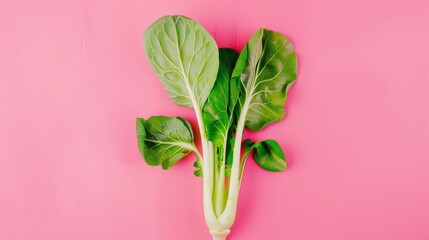 A fresh bundle of vibrant green bok choy leaves set against a pastel pink background, showcasing the natural beauty and simplicity of the vegetable.