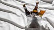 © Kartik - Two bottles of beer on ice. Isolated on white background.
