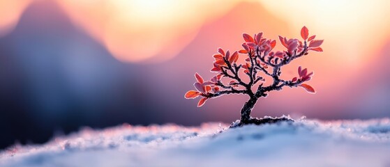 Wall Mural -  A small tree emerges from the snow atop a hill; behind it, a mountain range looms