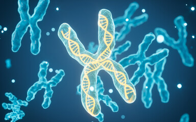 Wall Mural - Human genes and chromosomes, 3d rendering.