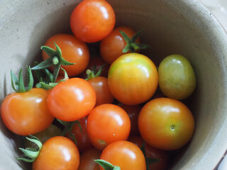 close up of a bowl of organic home grown tomatoes