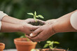 © Flashizzle/peopleimages.com - Unity, environment and hands with soil and plant for eco friendly, sustainable and ecology project. Support, gardening and people with fertilizer and green leaf sprout for community, ngo or charity.