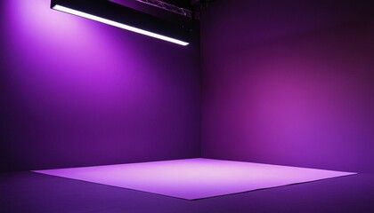 Canvas Print - Abstract empty light gradient purple studio room
Empty room with shadows of window. Display product with blurred backdrop 312