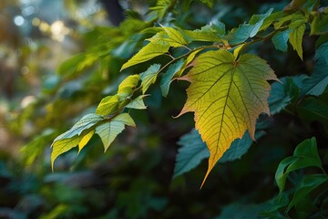 Ethereal Enchanted Leaves and Foliage in Nature