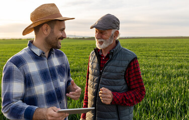 Poster - Farmers standing in green wheat field