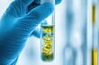 © FACTORY GRAPHICA  - Close-up of hands of scientist wearing blue gloves holding a test tube containing microorganisms