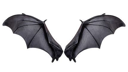 A pair of bat wings with a leathery texture and detailed veining Element Transparent PNG