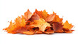 © GioGio - Vibrant Pile of Autumn-Colored Leaves on White Background