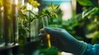 © The Little Hut - agriculture nature growth science researcher eco chemical laboratory farming organic researcher of hands hold a test tube and research paper for memo sample organic agriculture laborat : Generative AI