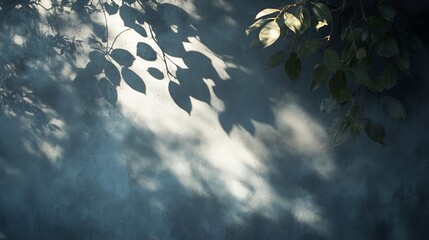 Sticker - Tree shadow and light of leaf branch background Nature leaves tropical jungle tree branch dark shadows and light from sunlight on wall texture for background wallpaper design shadow ov : Generative AI