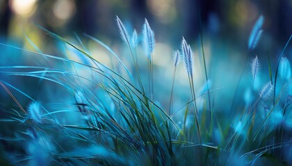 Canvas Print - wild blue grasses in a forest macro image shallow depth of field abstract nature background