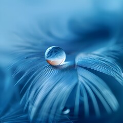 Wall Mural - Delicate Water Drop Resting on Soft Feather Capturing Natural Balance and Harmony