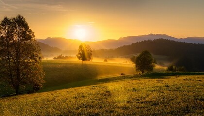 Poster - golden dawn sun rays bathe a rural landscape in warmth