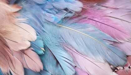 Wall Mural - colored feathers photo wallpaper beautiful picture for the wall abstract drawing with feathers