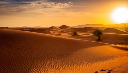 sand dunes in the sahara desert sunset over the sand dunes in the desert desert sunset in the desert desert in africa dry african jungle land roadway on the desert roadway in the dry jungle