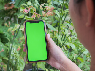 Green screen Smart phone screen, Hand-held smartphone with green screen, ideal for digital mockups, against a blurred background.