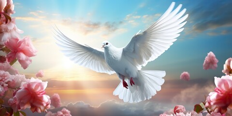 white dove with flower and peace symbol background scene. Sakura tree flowers and blue sky decoration backdrop