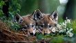 © Vee - Two adorable wolf pups relaxing among flowers in a serene forest setting, showcasing their playful and curious nature.
