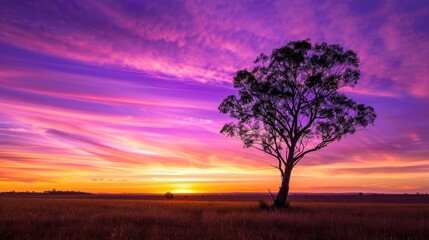 Canvas Print - Solitary Tree at Sunset