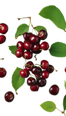 Poster - Flat lay cherry berries and leaves Top view ripe red cherries on table isolated on transparent background