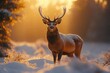 © furyon - winter wildlife majestic deer standing alert in snowy forest clearing surrounded by frostcovered pine trees and golden morning light