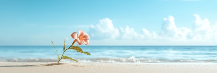 Wall Mural - A single pink flower blooms on a sandy beach against a backdrop of blue sky and ocean, symbolizing growth, beauty, and resilience in nature.