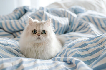 Wall Mural - a white cat sitting on top of a bed covered in blue and white sheets