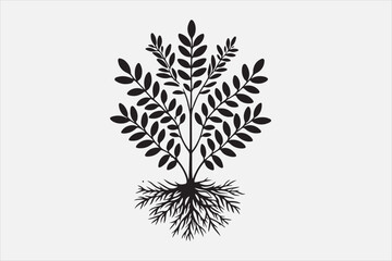 A Plant leaf  silhouette design. 