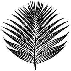 Wall Mural - Palm Leaf Silhouette Vector art